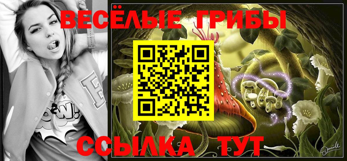 Зерноград  Галлюциногенные грибы ЛСД  Вход с VPN 